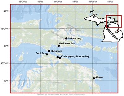 Field-based measurement tools to distinguish clonal Typha taxa and estimate biomass: a resource for conservation and restoration